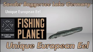 Unique European Eel  Sander Baggersee Lake Germany  Fishing Planet Guide [upl. by Naryt]