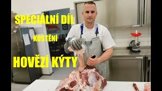 Speciální díl Kostění hovězí kýty palice [upl. by Goode]