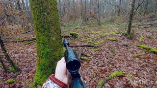 blaser R8 85x55 blaser chasse en battue [upl. by Nussbaum]