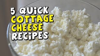 5 Quick Cottage Cheese Recipes [upl. by Yroj]