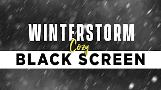 WINTER STORM Ambience for 10 Hours  Heavy Snowstorm and Blizzard Howling Wind sounds BLACK SCREEN [upl. by Plank]