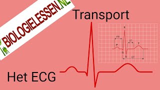 Het hart en ECG animatie [upl. by Idroj650]