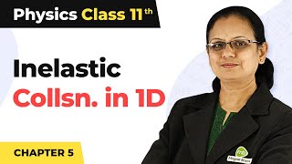 Inelastic Collision in One Dimension  Work Energy and Power  Class 11 Physics [upl. by Medarda]