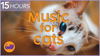 NO ADS 15 HOURS of Relaxing Cat Music  Instant Relaxation [upl. by Isis4]