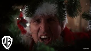 National Lampoons Christmas Vacation  Squirrel Scene  Warner Bros Entertainment [upl. by Ochs]