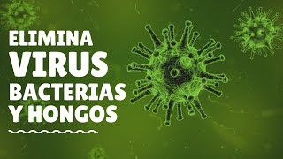 ELIMINA VIRUS 🦠 BACTERIAS Y HONGOS con PODEROSO DESINFECTANTE [upl. by Now549]