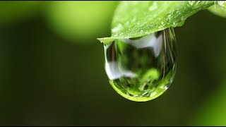 LA LLUVIA  Los secretos del planeta  Documental Planeta Tierra [upl. by Voccola]