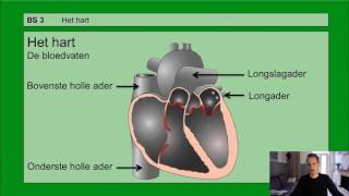 VMBO HAVO 2  De bloedsomloop  Basisstof 3 Het hart [upl. by Nomzed]