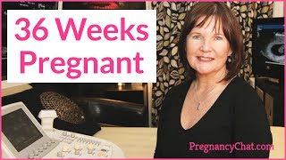 quot36 WEEKS PREGNANTquot by PregnancyChatcom PregnancyChat [upl. by Dav]