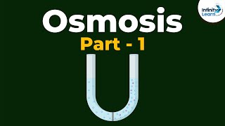 What is Osmosis  Part 1  Cell  Infinity Learn [upl. by Enilekaj]