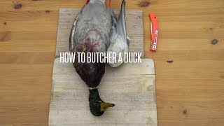 How to Butcher a Duck [upl. by Nylyram]