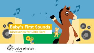 Babys First Sounds Discoveries for Little Ears  Baby Einstein [upl. by Anyrb511]