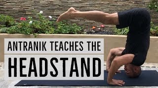 How to do the Headstand PROPERLY Full Tutorial amp Progressions for Beginners [upl. by Zakarias2]