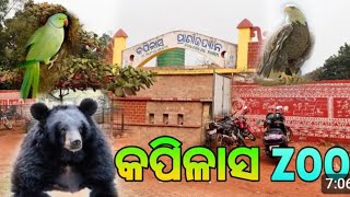 Kapilash Zoological parkକପିଳାସ [upl. by Acinahs342]