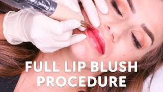 Full Lip Blush Procedure  Tina Davies Professional I 💋 INK [upl. by Ahtebat]