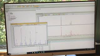 GC MS Data Analysis [upl. by Farley]