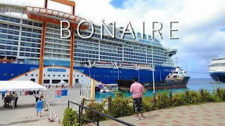 Walking Around Bonaire Cruise Port [upl. by Bj]