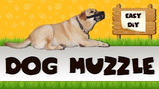 How To Make A Dog Face Mask MuzzleEasy Diy [upl. by Canute]