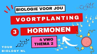 4 vwo  Voortplanting  3  Hormonen [upl. by Nilok]