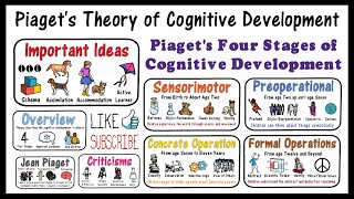 Piaget Theory of Cognitive Development [upl. by Eveineg]