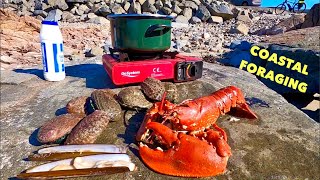 COASTAL FORAGING  Big Lobster  Razor Clams Abalone  Crabs amp Flatfish  Beach COOKING [upl. by Yenitirb]