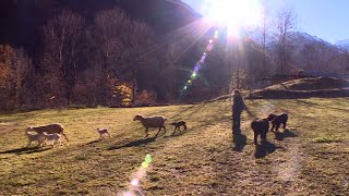 HautesAlpes  choisir de vivre librement dans les montagnes [upl. by Valora]