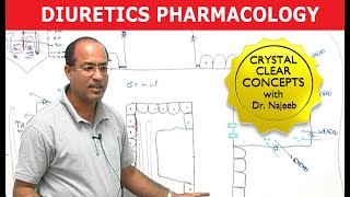 Diuretics  Pharmacology  Dr Najeeb [upl. by Lleneg]