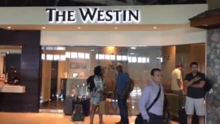 The Westin St John Airport Lounge at STT [upl. by Charisse]