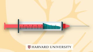 Measles and the MMR vaccine [upl. by Hsekar880]