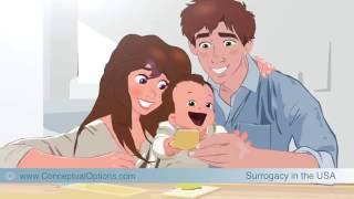 Surrogacy in the USA  How does international Surrogacy work [upl. by Lleddaw473]