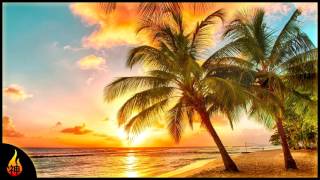 Island Reggae Music  Upbeat Tropics  Tropical Island Beach Music [upl. by Bryna53]