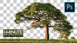 1Minute Photoshop  How to Cut Out Tree in Photoshop [upl. by Liahcim]