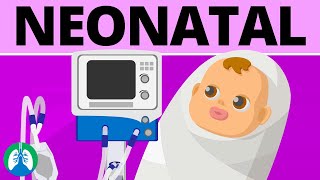 Neonatal Mechanical Ventilation Quick Medical Overview [upl. by Rolando]