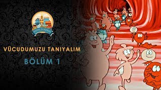 Vücudumuzu Tanıyalım  Türkçe Dublaj  Bölüm 1 [upl. by Yager678]