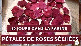 122 fleurs  Comment sécher des pétales de roses [upl. by Dagall]