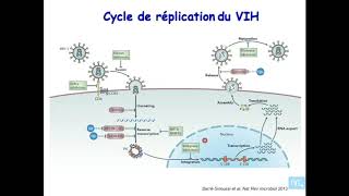 immunologie de linfection VIH partie 1 [upl. by Bonucci825]