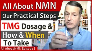 All About NMN Ep5  TMG Dosage amp How amp When To Take  Our Practical Steps [upl. by Nosnev]