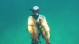 Karratha spearfishing [upl. by Gladwin]