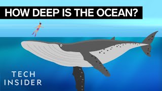 This Incredible Animation Shows How Deep The Ocean Really Is [upl. by Ainar165]