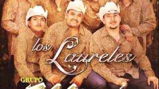 Grupo Montez De Durango  Los Laureles [upl. by Luby]