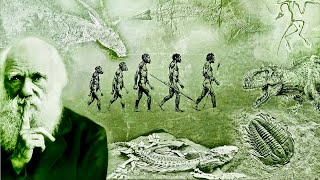 Evolution  What Darwin Never Knew  NOVA Full Documentary HD [upl. by Paske]