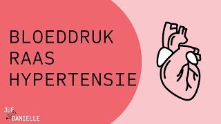 Bloeddruk RAAS en hypertensie [upl. by Trocki]