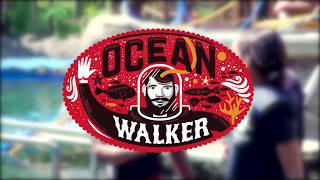 uShaka Ocean Walker  Sea Animal Encounters Island [upl. by Esilrac]