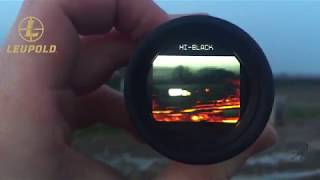 Testing the Leupold LTOTracker [upl. by Mclyman]