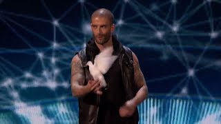 Darcy Oake  Dove Magic [upl. by Enylrac]