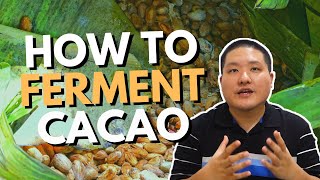 How to Ferment Cacao Beans [upl. by Bertolde727]