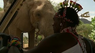 Life as a Kenyan Safari Guide  This Wild Life  BBC Earth [upl. by Elata]