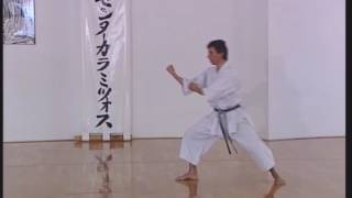 Shotokan  Heian Godan [upl. by Darcy]