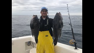 1221 Offshore Sea Bass Fishing [upl. by Methuselah]