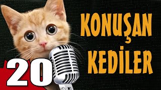 Konuşan Kediler 20  En Komik Kedi Videoları [upl. by Lrub]